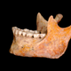 Illustration for article titled Researchers sequence fragments of the oldest human genome on Earth